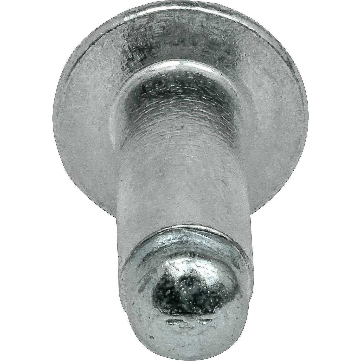 Dome Head Pop Rivets Steel 100 - Inhomebuy
