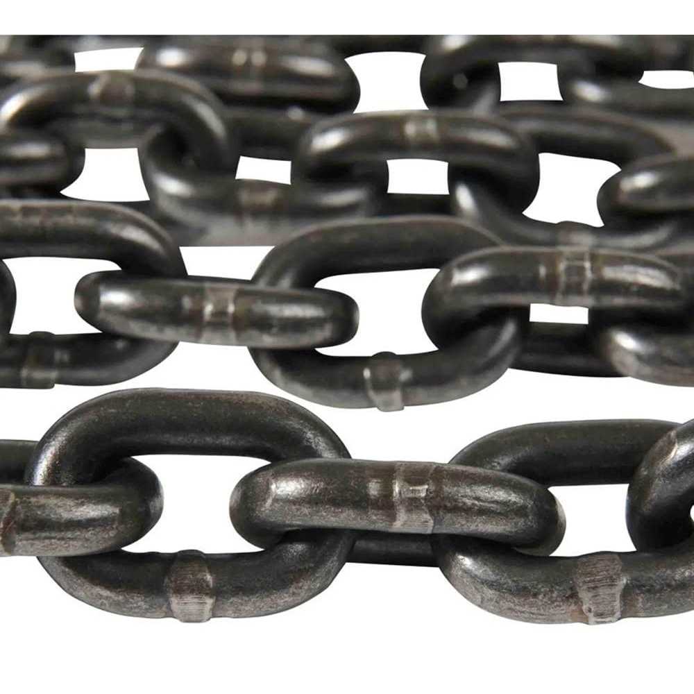 Mytee Products 3/8 Inch x G80 Transport Binder Chain with Clevis Grab Hooks - Inhomebuy