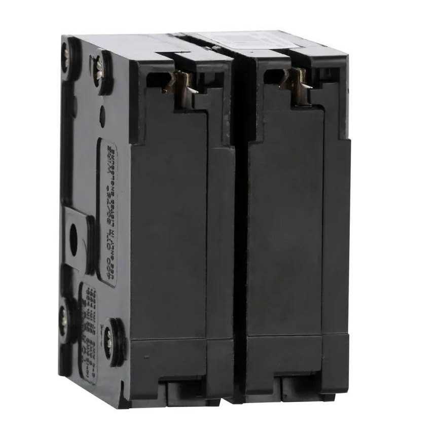 Eaton BR250 Double Pole Circuit Breaker - Inhomebuy