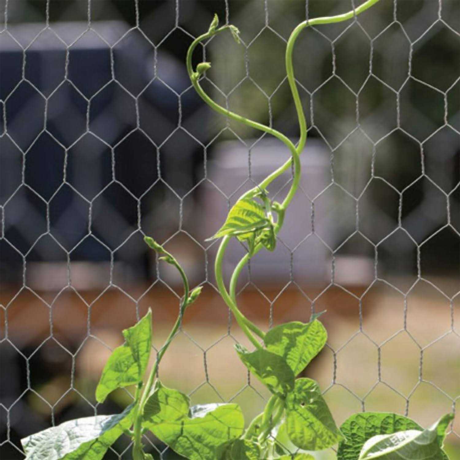 YARDGARD Mesh Poultry Netting - Inhomebuy