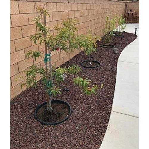 Waterrounds Planting Rings. Landscape Garden Protective - Inhomebuy