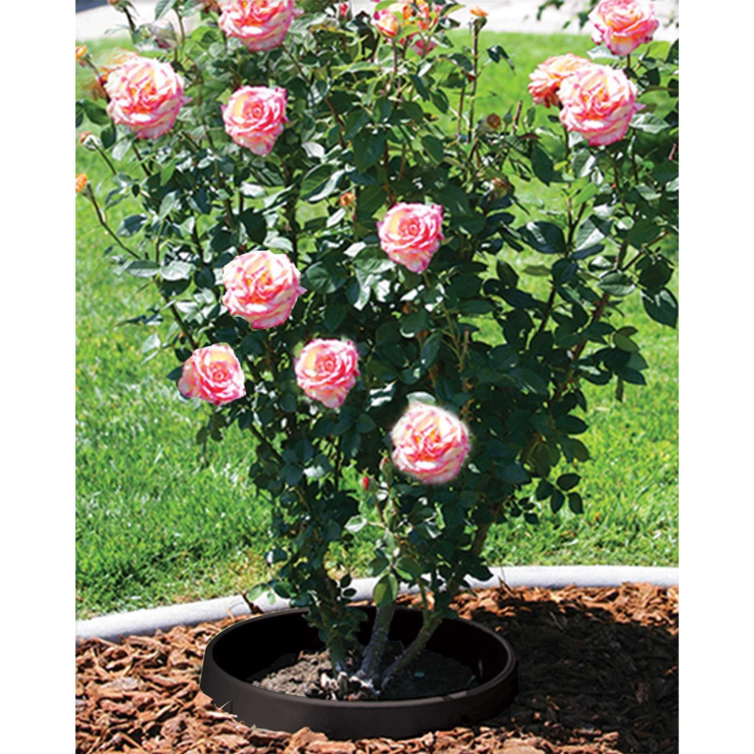 Waterrounds Planting Rings. Landscape Garden Protective - Inhomebuy