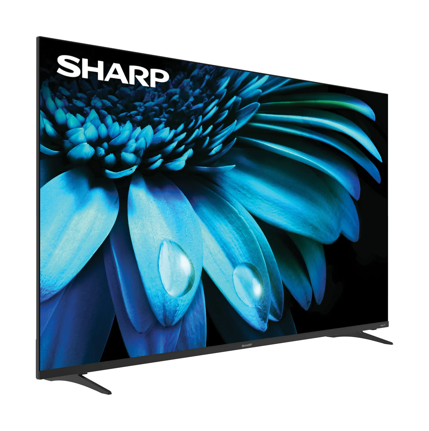 Sharp Roku TV 55