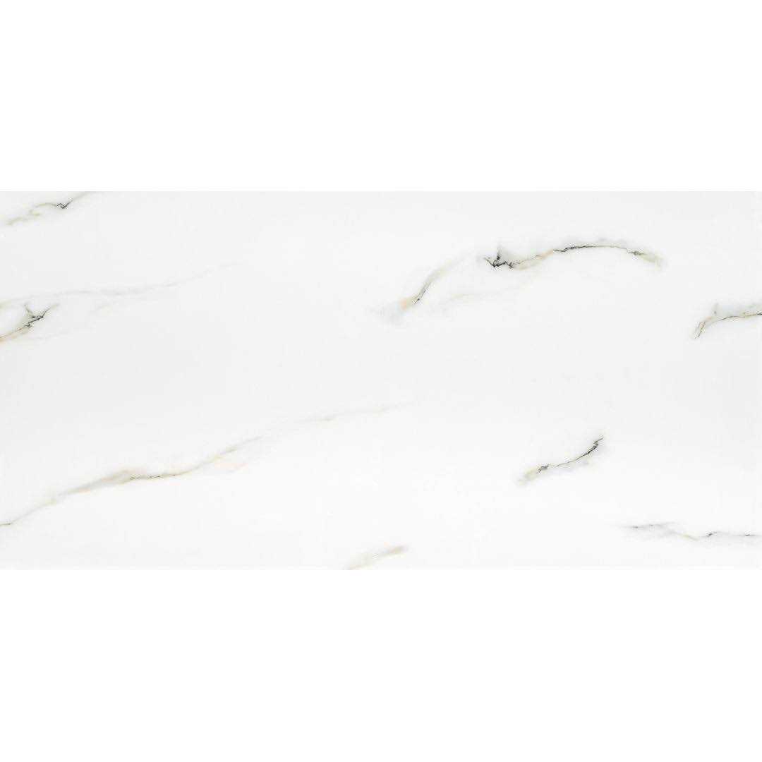 MSI Aria Bianco 24 in. Polished Porcelain Floor and Wall Tile - Inhomebuy