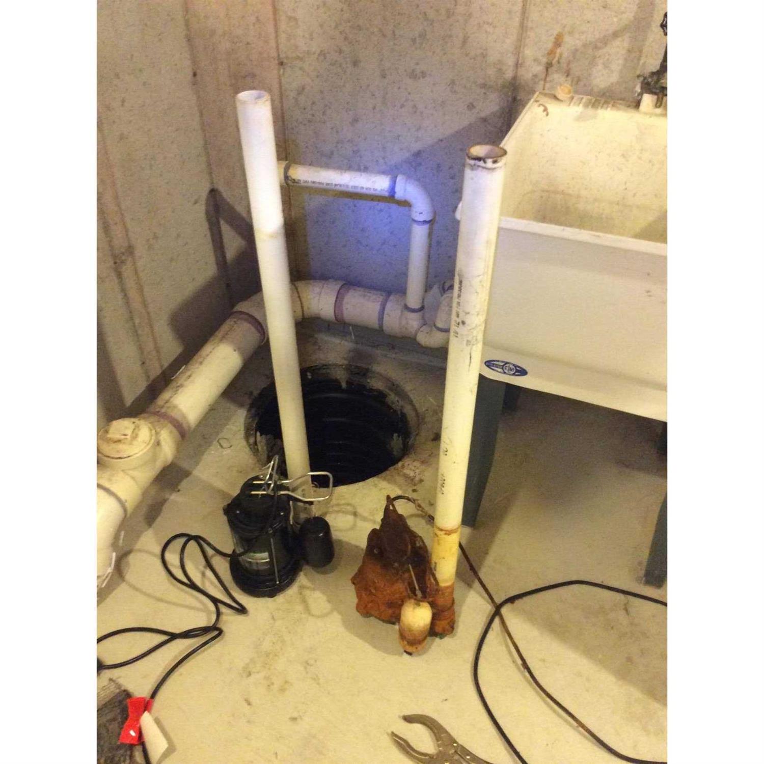 Wayne 1/2 HP Thermoplastic Sump Pump SPF50 - Inhomebuy