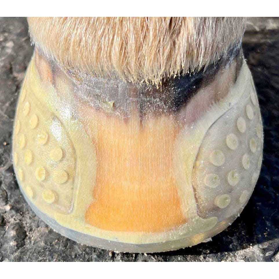 EasyPro Submersible Pump Screens - Inhomebuy